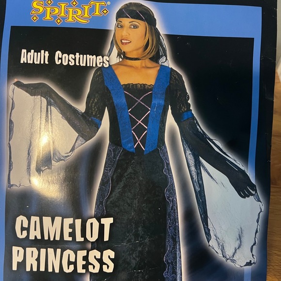 Spirit Camelot Princess Costume Size L Renaissance Medievel Cosplay Queen - Picture 1 of 10